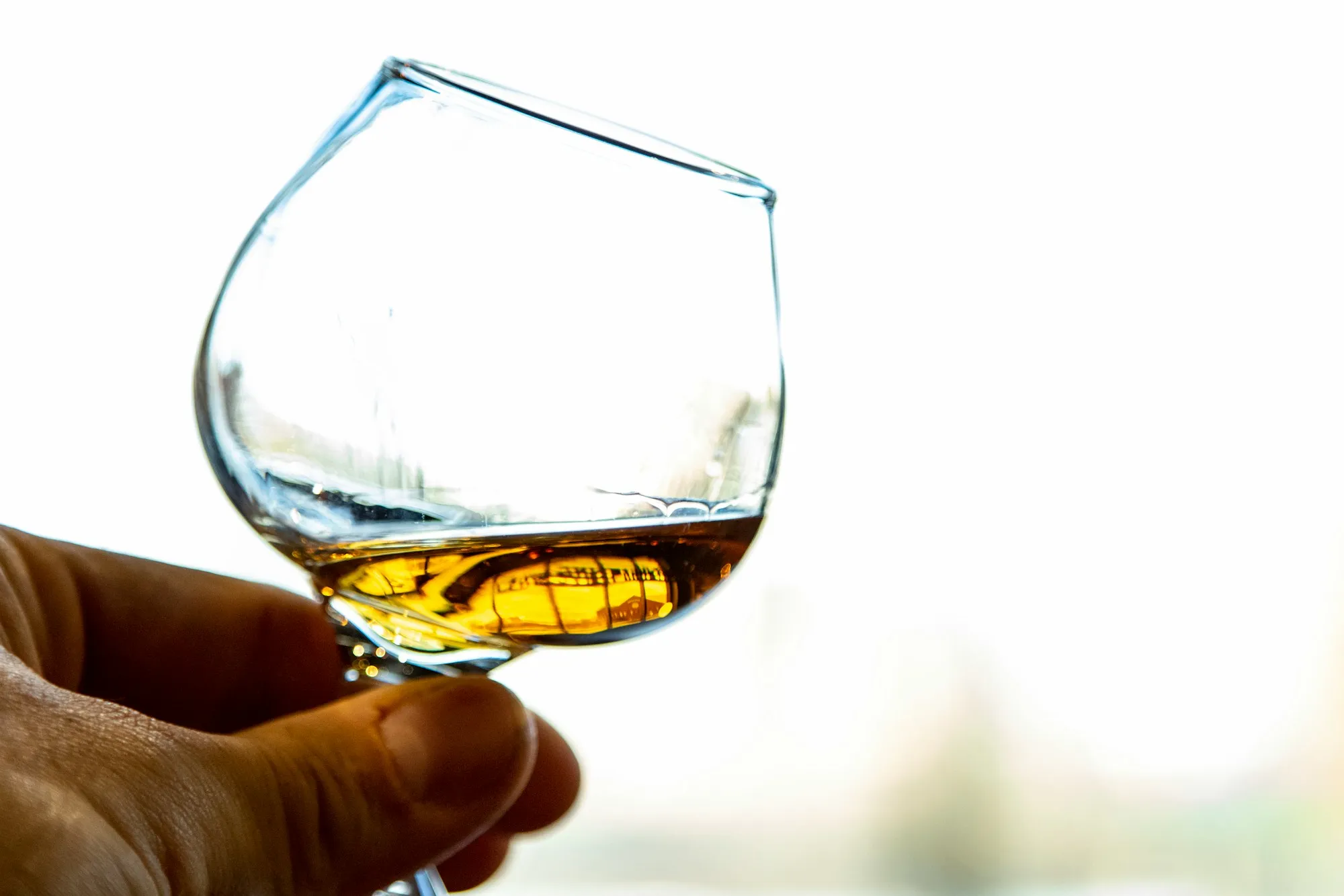 Hand hält ein Glas mit bernsteinfarbenem Whisky zum Riechen