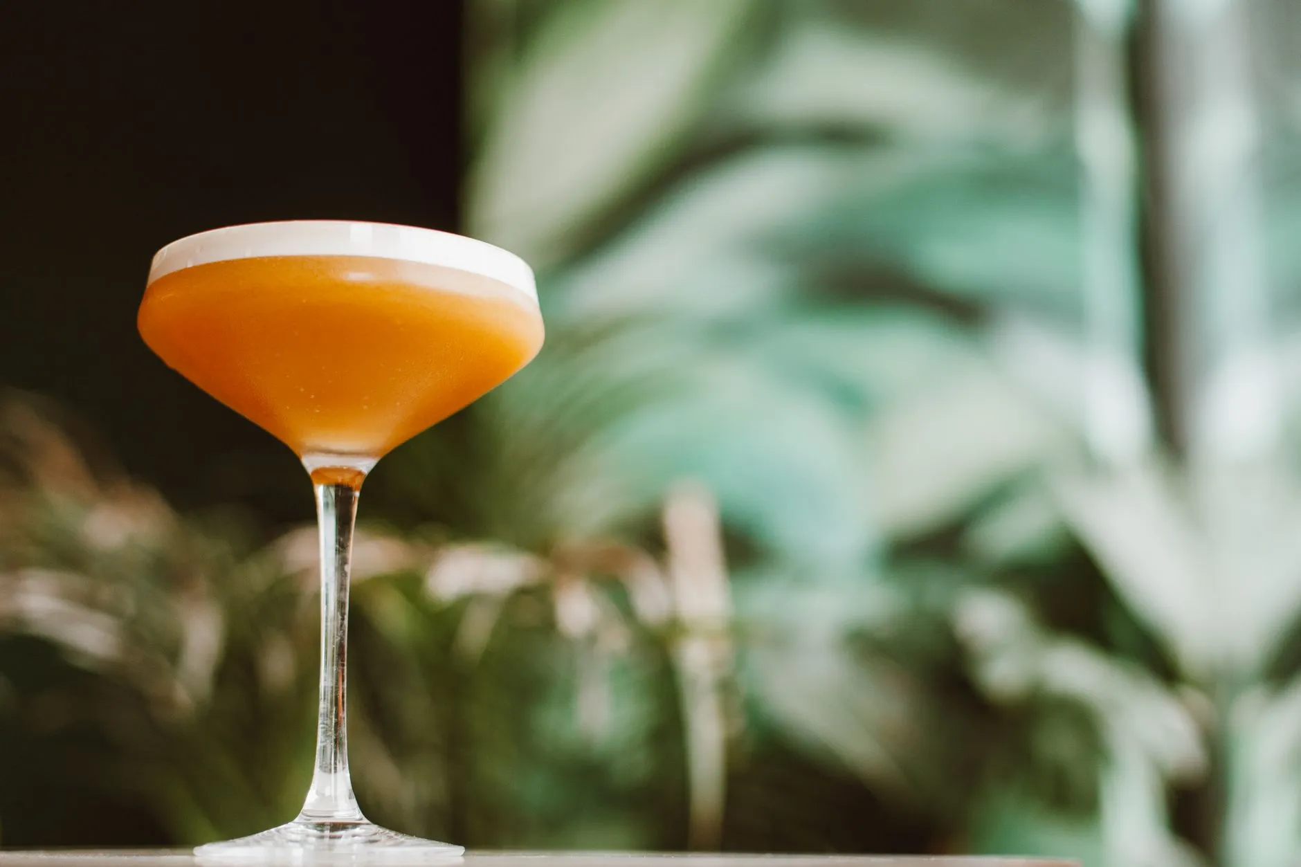 Ein Cocktail in einem Coupe-Glas