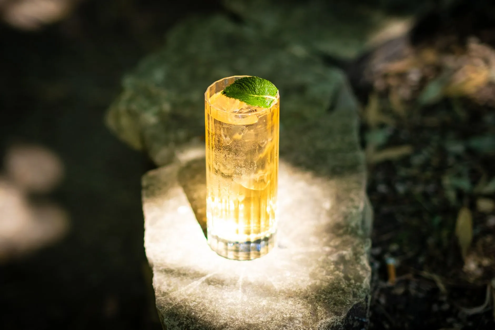 Ein spritziger Longdrink im Glas mit Minze